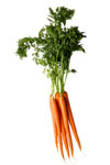 Carrots